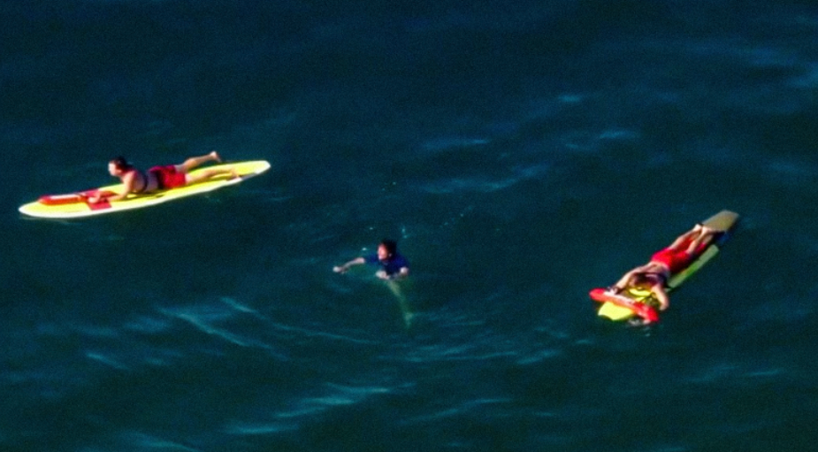 Malibu Police Chase Ends With Suspect in Ocean