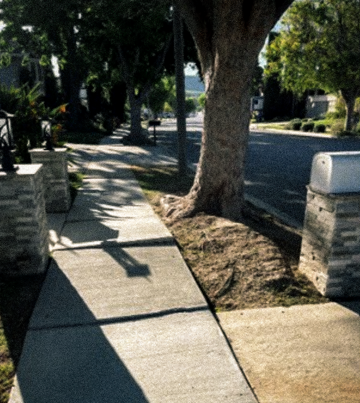 Oak Park Street Repairs Delayed a Year
