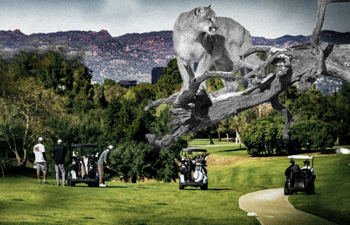 Mountain Lions Stall New Housing at Country Club