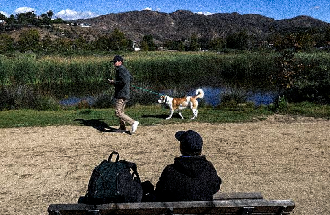 Majority of Malibu Crime Committed by Homeless, Sheriff says