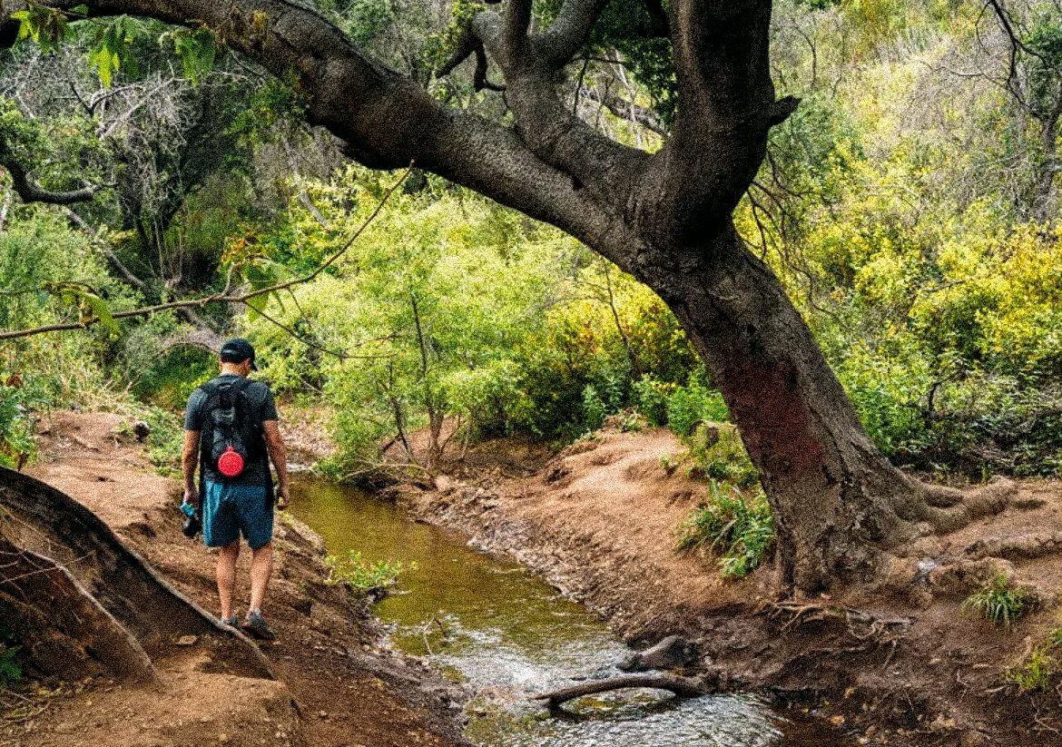 Malibu Loses Ownership Fight for Escondido Falls Trails